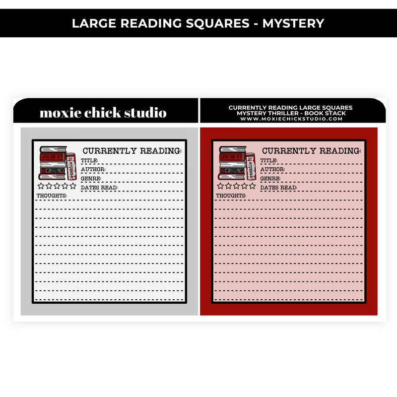 "CURRENTLY READING" MYSTERY LARGE BOXES - NEW RELEASE