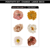 CHANGE - POSITIVITY PROJECT KIT - NEW RELEASE