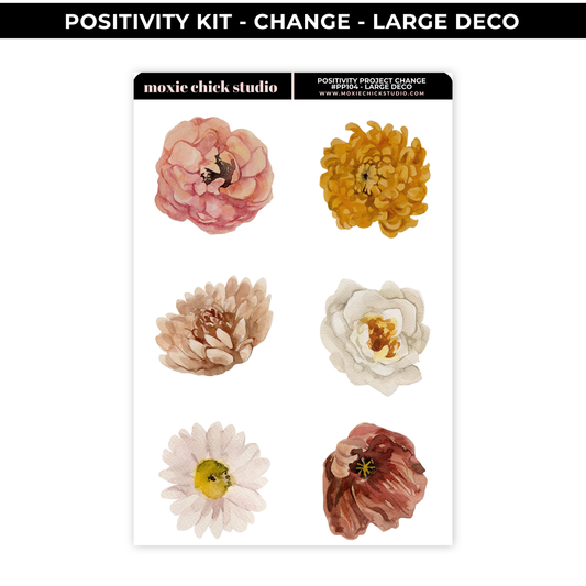 CHANGE POSITIVITY PROJECT - LARGE DECO - NEW RELEASE